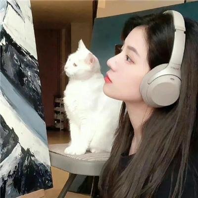 小姐不在家